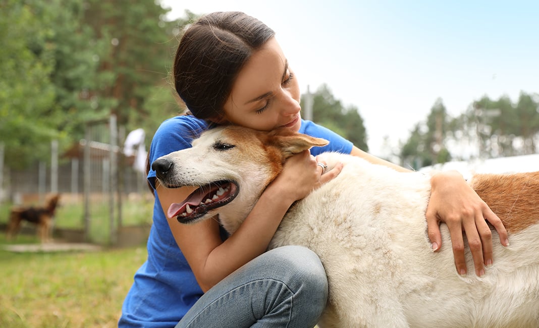 See how the ASPCA used Springboard’s Salesforce advocacy software to power change in the animal welfare community.