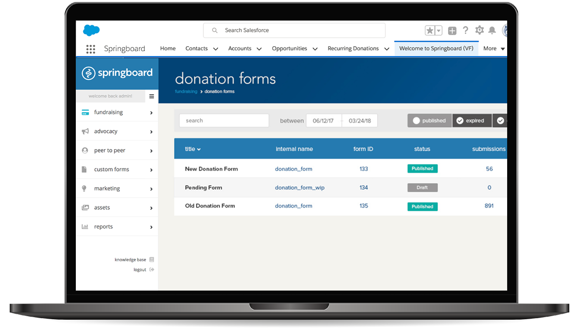 Springboard’s Salesforce advocacy software can take your nonprofit to new heights.