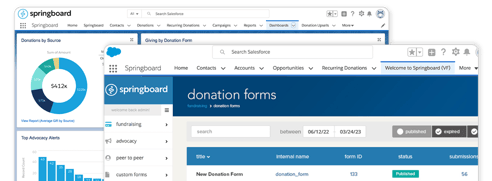 With Springboard’s Salesforce advocacy software, you can take a close look at how your fundraisers are performing and optimize your approach in real-time.