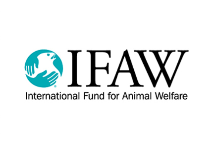 logo-nascar-IFAW